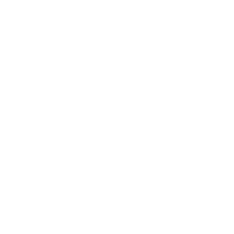 security sheild