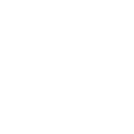 security sheild