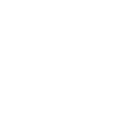 security sheild