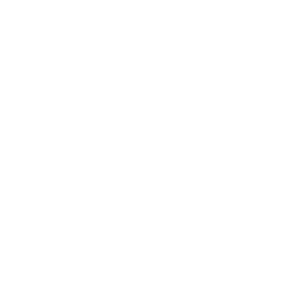 security sheild